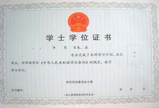 学位证书翻译案例